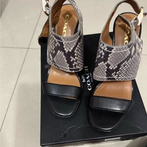 Coach Women's Black and Snake Pattern Sandals